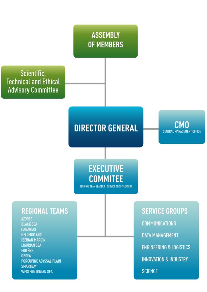 EMSO ERIC organizational chart
