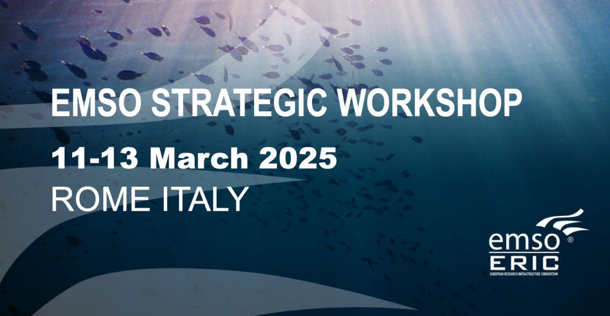 Emso Challenge EMSO ERIC Strategic Workshop – EMSO