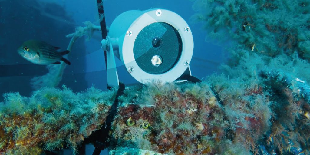 EMSO_WEBINAR_PHYSICAL ACCESS